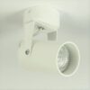spartan-spot-led