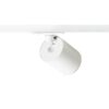 DARIO za 1F stazu bijela brušeni mesing 230V LED GU10 9W