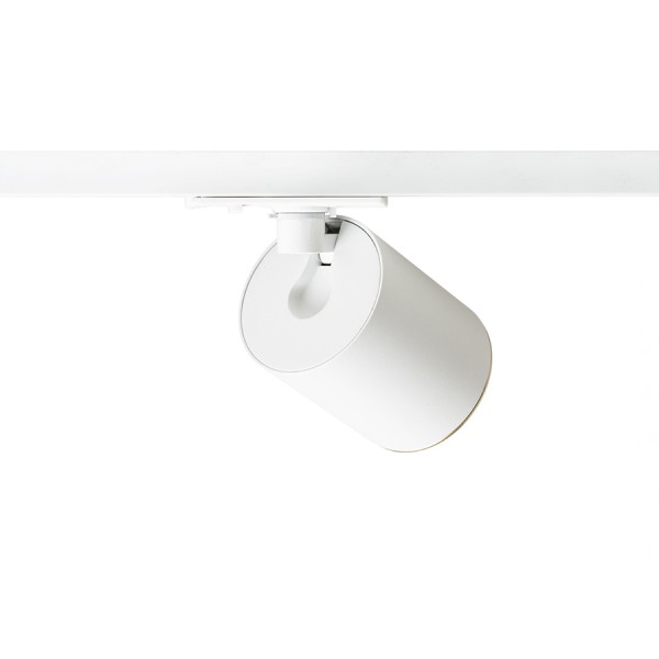 DARIO za 1F stazu bijela brušeni mesing 230V LED GU10 9W