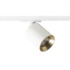 DARIO za 1F stazu bijela brušeni mesing 230V LED GU10 9W