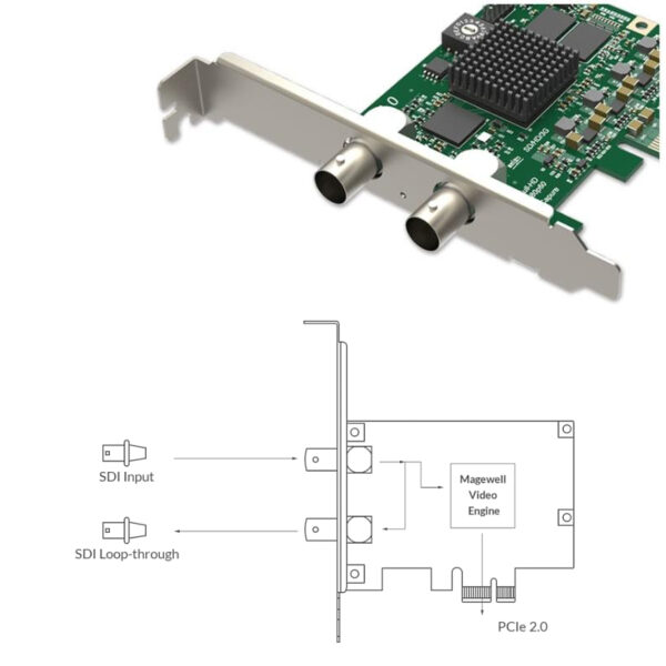 Magewell Pro capture SDI, LP PCIe x1, 1-channel SD/HD/3G/2K SDI, Single channel bypass loop, Windows/Linux/Mac (11050)