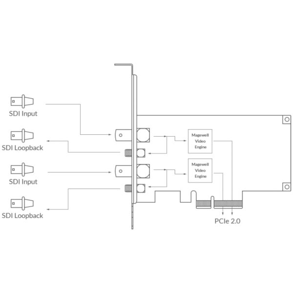 Magewell Pro capture dual SDI, LP PCIe x4, 2-channel SD/HD/3G/2K SDI, two channels bypass loop, Windows/Linux/Mac (11060)