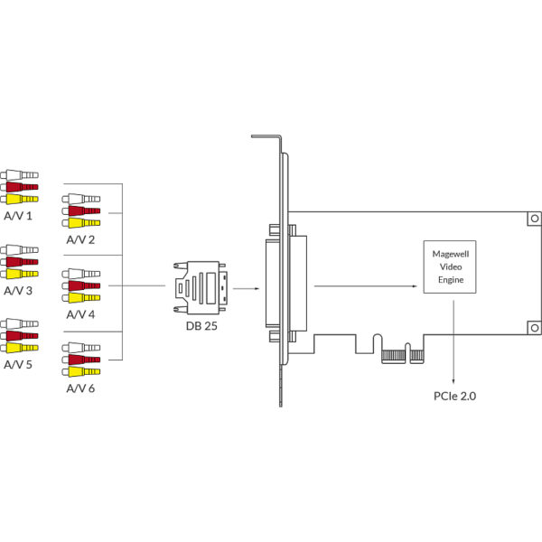 Magewell Pro capture hexa CVBS, LP PCIe x1, 6-channel CVBS, SD, 6 unbalanced stereo audio, Windows/Linux/Mac (11250)
