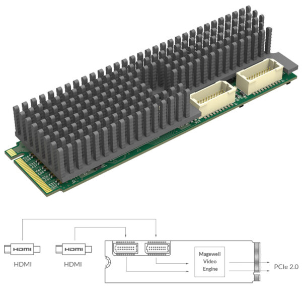 Magewell Eco Capture dual HDMI M.2, M.2 form factor 2-channel HDMI, Windows/Linux (11510)