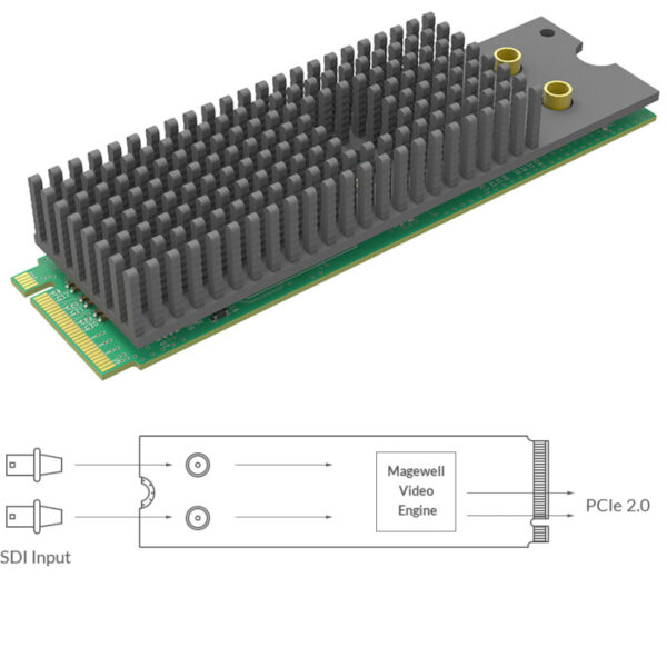 Magewell Eco Capture dual SDI M.2, M.2 form factor 2-channel 3G SDI, Windows/Linux (11530)
